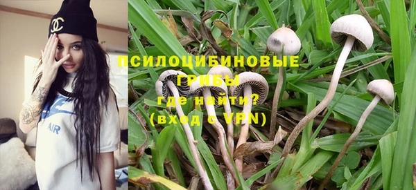 mix Надым