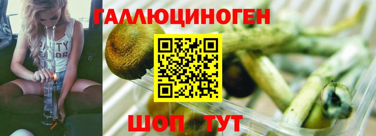 Псилоцибиновые грибы прущие грибы Долгопрудный
